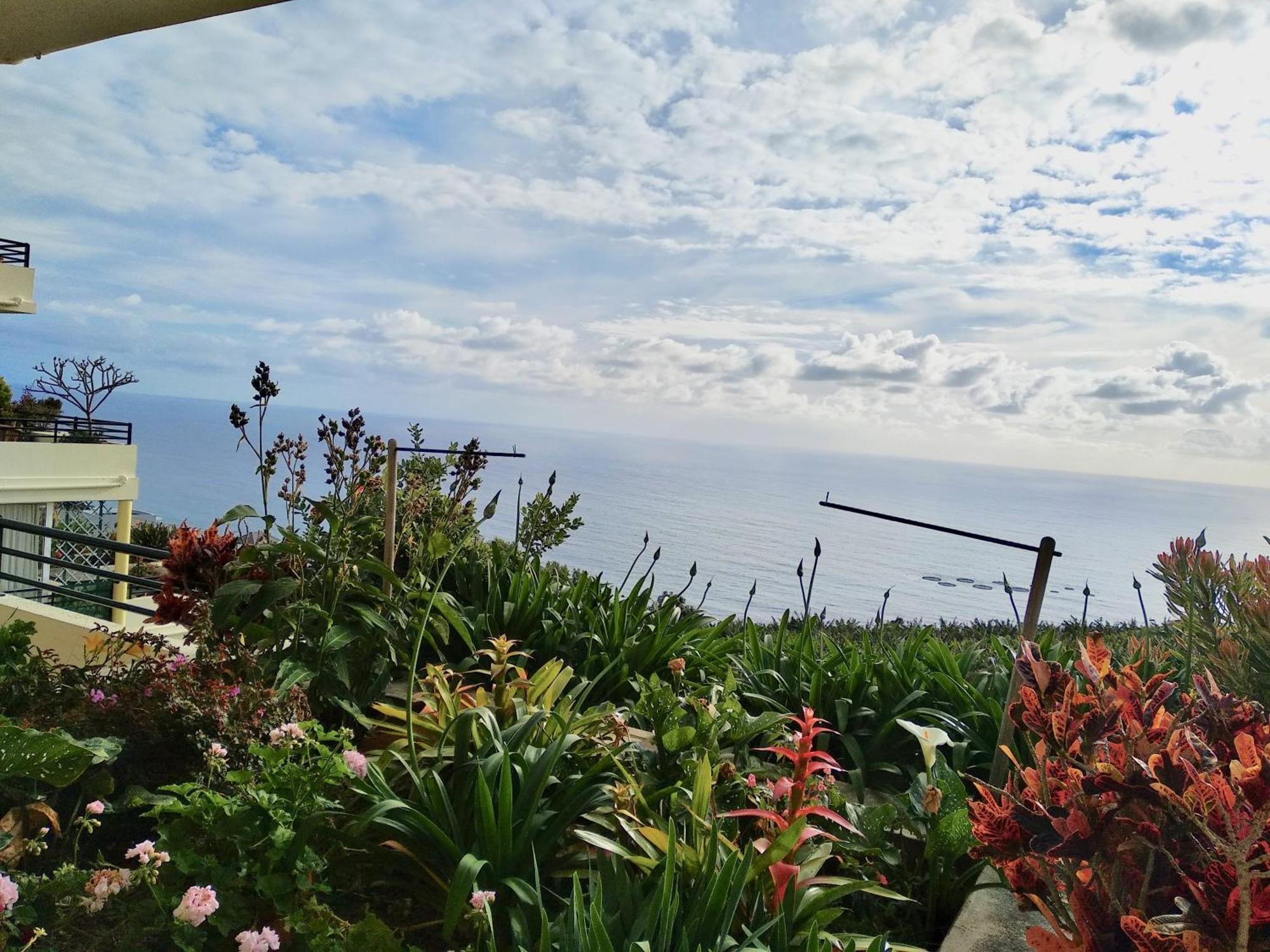 Jardim Do Arco "Esmee" Apartment Arco da Calheta  Exterior foto